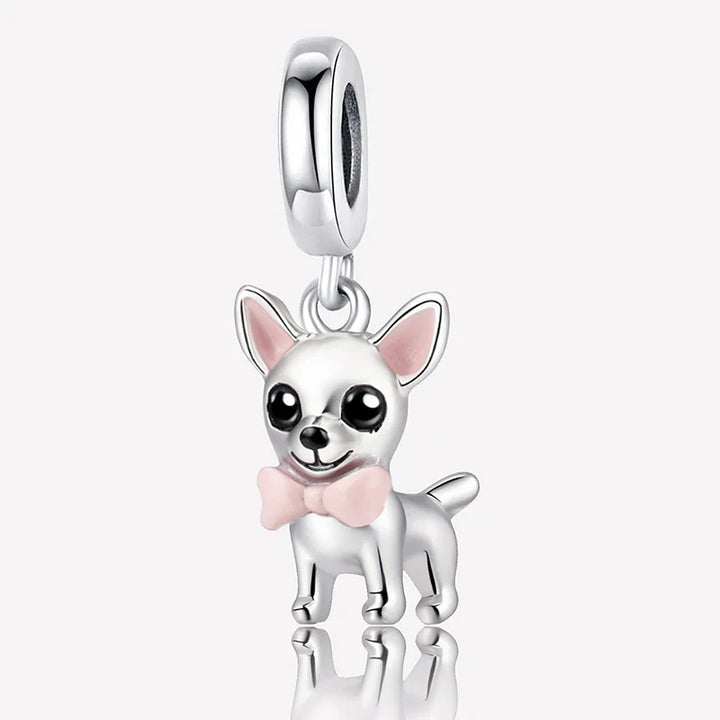 Chihuahua Čar