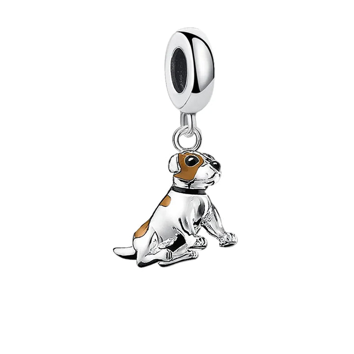 Čar Jack Russell