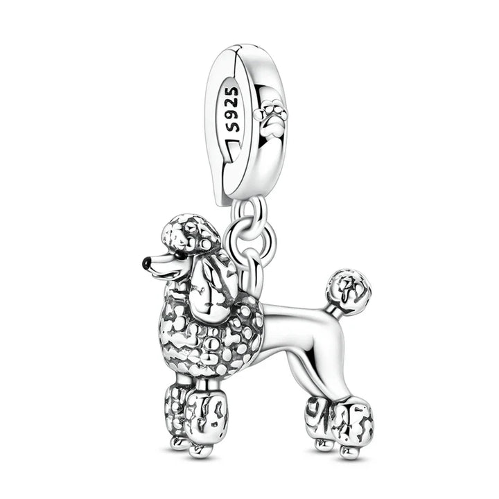 Čar Poodle