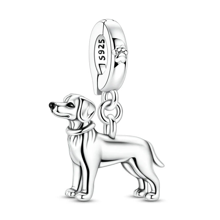 Čar Labrador Retriver