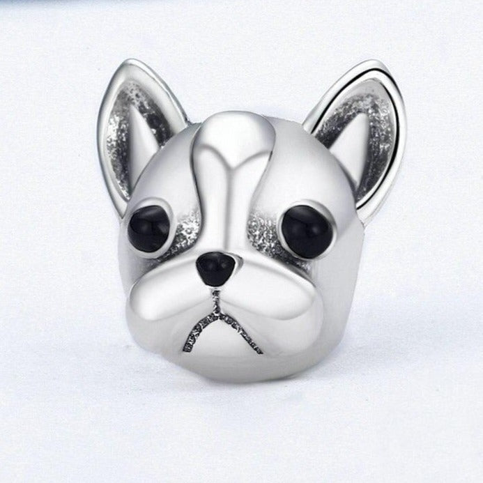 Charm francoskega buldoga