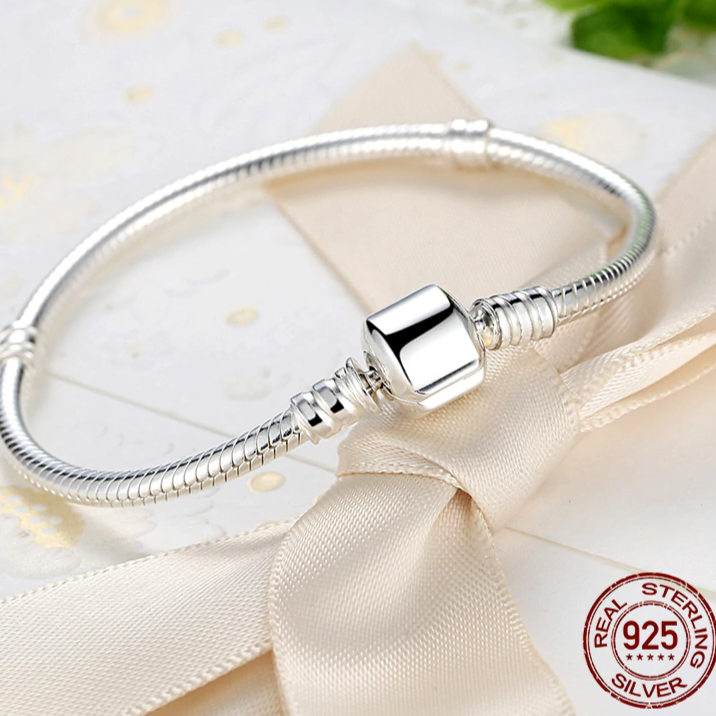 Preprosta srebrna zapestnica s charms