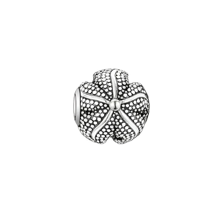 Čar Starfish Bead
